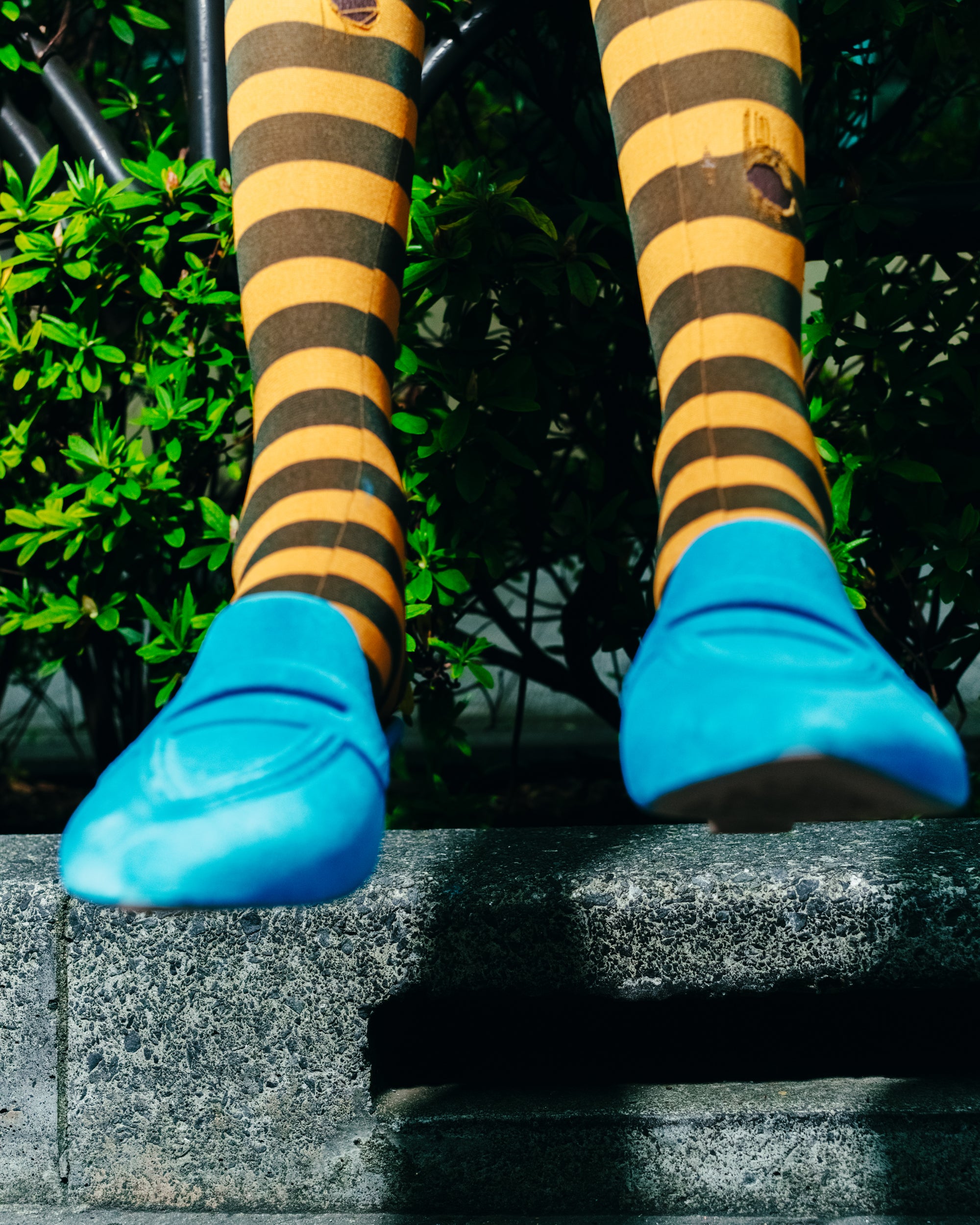Mrs. Wang Flocky Blue